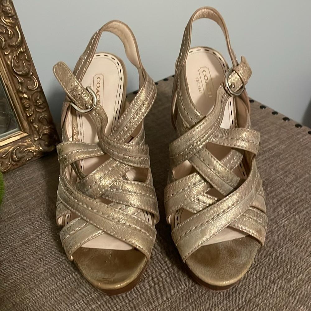 Coach Brynne Brushed Metal Heels